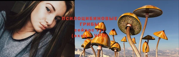 сатива Анжеро-Судженск